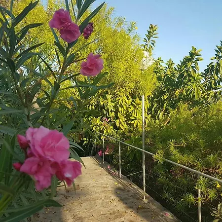 Boutique Tenerife Σαν Μιγκέλ ντε Αμπόνα